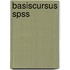 Basiscursus SPSS