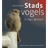 Stadsvogels in hun domein
