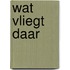 Wat vliegt daar