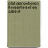 Niet-aangeboren hersenletsel en arbeid
