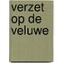 Verzet op de Veluwe