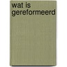 Wat is gereformeerd door Meester