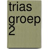 Trias groep 2 by Y. de Wit