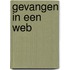 Gevangen in een web