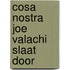 Cosa nostra joe valachi slaat door