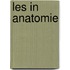 Les in anatomie