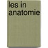 Les in anatomie