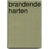Brandende harten