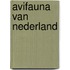 Avifauna van nederland