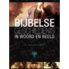 Bijbelse geschiedenis in woord en beeld door Theanne Boer