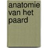 Anatomie van het paard