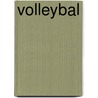 Volleybal door Meys