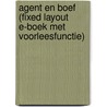 Agent en Boef by Tjibbe Veldkamp