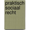 Praktisch sociaal recht door F. D'Hertefelt