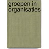 Groepen in organisaties by T. Vollink