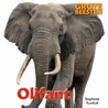 Olifant door Stephanie Turnball