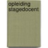 Opleiding stagedocent
