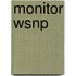 Monitor Wsnp