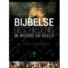Bijbelse geschiedenis in woord en beeld by Rien van den Berg