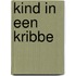 Kind in een kribbe