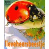 Lieveheersbeestje by Lynette Evans