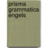 Prisma grammatica engels