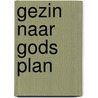 Gezin naar Gods plan door H. Wilts