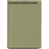 Bouwplaatstimmeren door D. Bassie