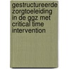 Gestructureerde zorgtoeleiding in de GGz met Critical Time Intervention door Onbekend