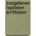 Zoogdieren reptielen amfibieen