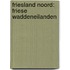 Friesland Noord: Friese Waddeneilanden