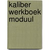 Kaliber werkboek moduul by Unknown