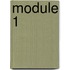 Module 1