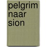 Pelgrim naar Sion door J.H. Mauritz