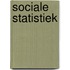 Sociale statistiek