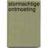 Stormachtige ontmoeting door Lane