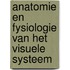 Anatomie en fysiologie van het visuele systeem