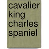 Cavalier king charles spaniel by Richard Bouwman