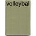 Volleybal