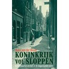 Koninkrijk vol sloppen door Auke van der Woud