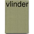 Vlinder