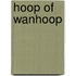 Hoop of wanhoop