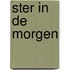 Ster in de morgen