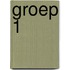 Groep 1