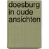 Doesburg in oude ansichten