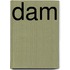 Dam