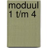 Moduul 1 t/m 4 by N. Geurts