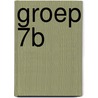 Groep 7B door N. van Beusekom