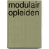 Modulair opleiden