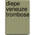 Diepe veneuze trombose